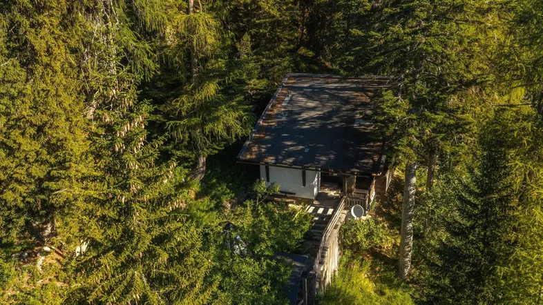 Luftaufnahme eines Hauses, umgeben von dichtem Wald und hohen Bäumen.