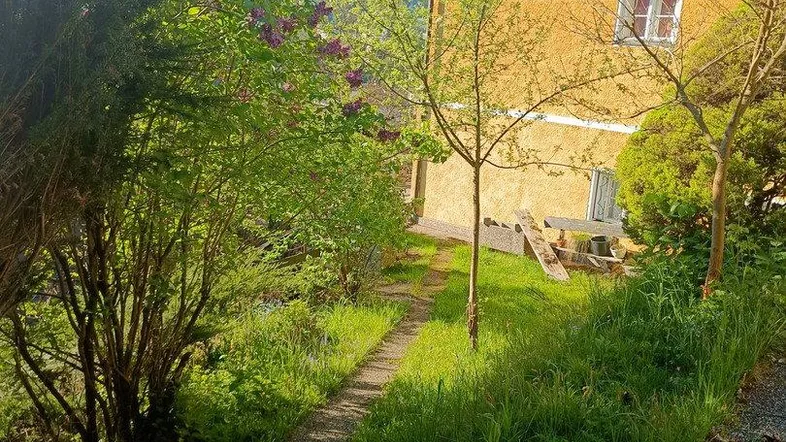 Ein sonniger Gartenweg führt durch üppiges Grün zum charmanten Haus mit gelber Fassade.