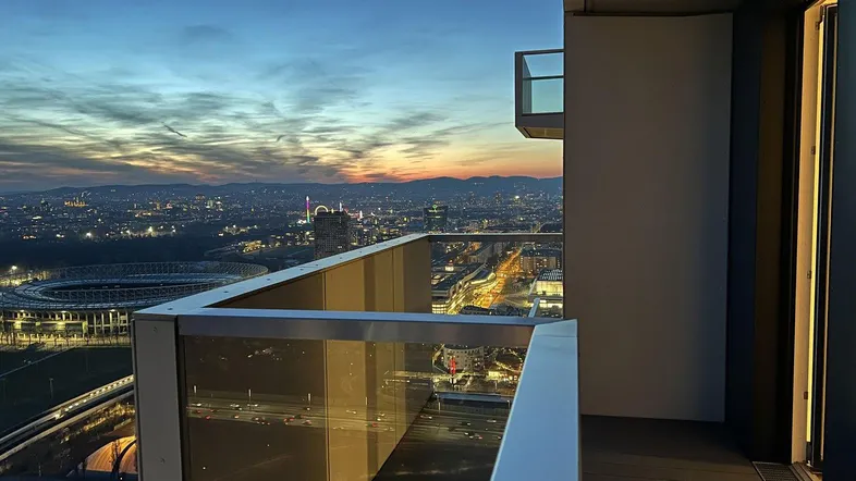 Blick über den Prater zur City