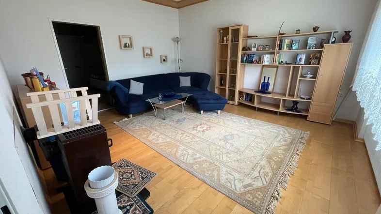 Geräumiges Wohnzimmer mit Holzboden, blauem Sofa und Bücherregalen, bietet eine gemütliche Atmosphäre.