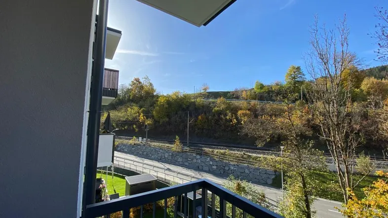 Sonniger Balkon mit Blick auf die umliegende Natur und eine Straße.
