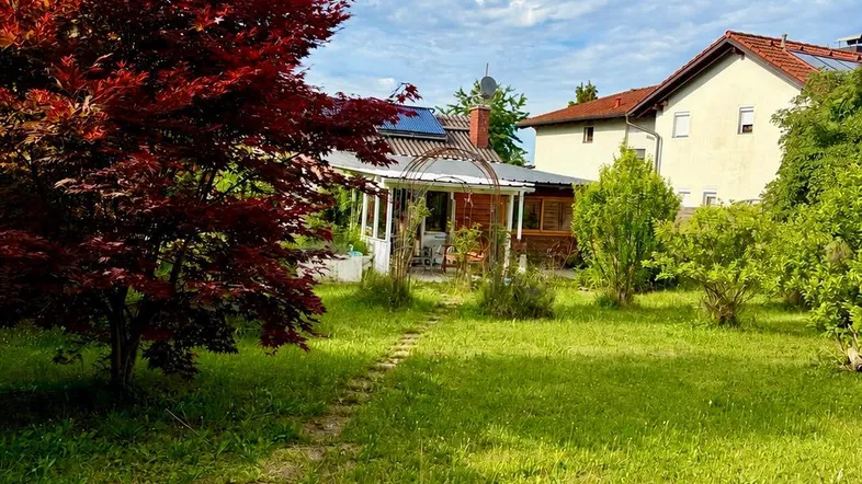 Grüner Garten mit einem auffälligen roten Baum, einem kleinen Gartenhaus und einem Wohngebäude im Hintergrund.