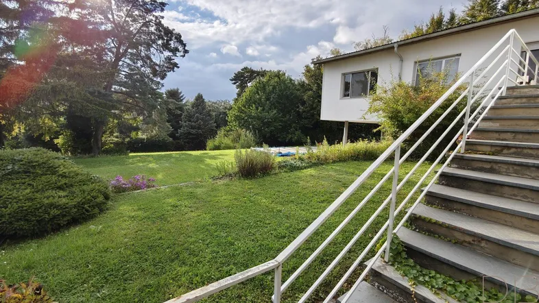 Großer Garten mit Rasenfläche, altem Baumbestand und Zugang zum Haus über eine Außentreppe.