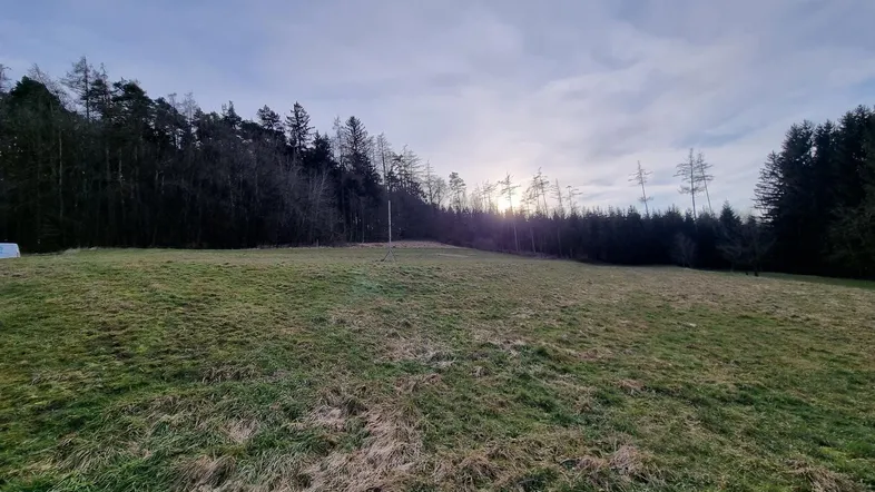 Weitläufiges Feld am Waldrand mit Blick auf den Sonnenuntergang und die umliegende Natur.