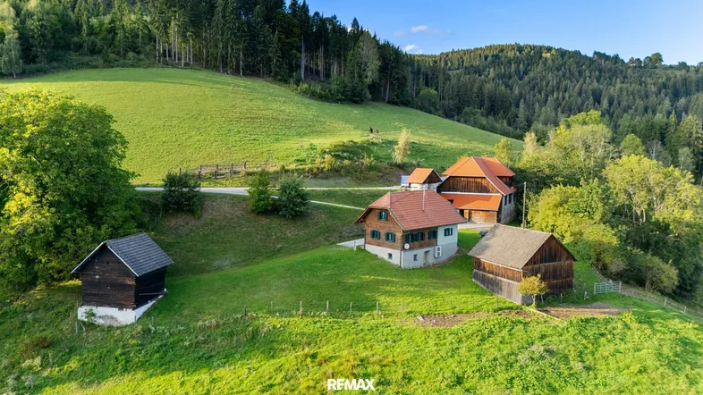 Ländliche Ansicht mehrerer traditioneller Gebäude eingebettet in eine grüne Hügellandschaft mit Wald.