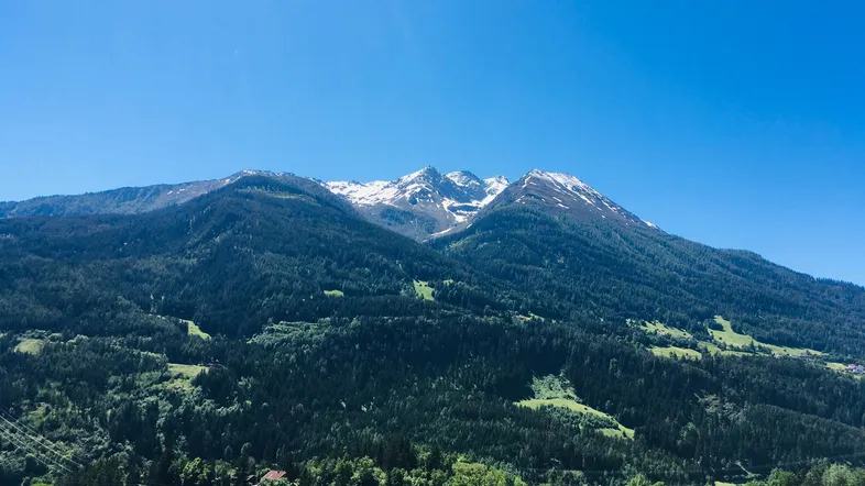 Panoramablick auf schneebedeckte Berge und grüne Wälder unter strahlend blauem Himmel.