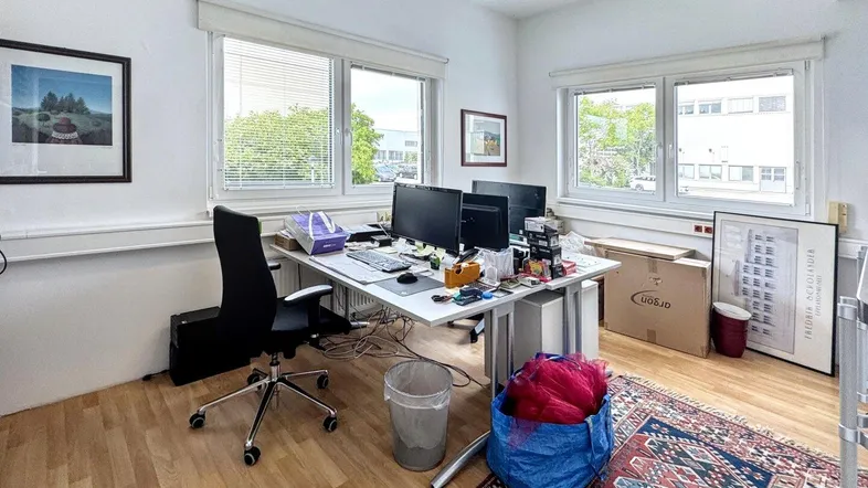 Helles Büro mit Holzfußboden, großen Fenstern und einem Arbeitsplatz mit Computern.