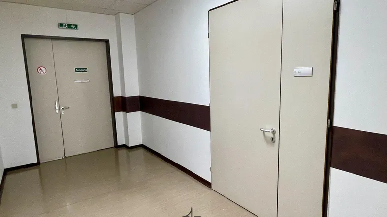Heller Flur mit mehreren Türen und einem markanten braunen Streifen an den Wänden, der zu einem Ausgang führt.