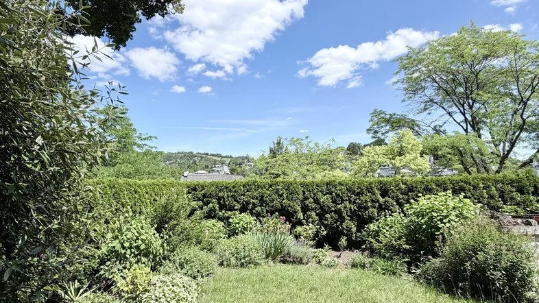 Grüner Gartenbereich mit Hecke und weitem Blick in die Landschaft unter blauem Himmel.