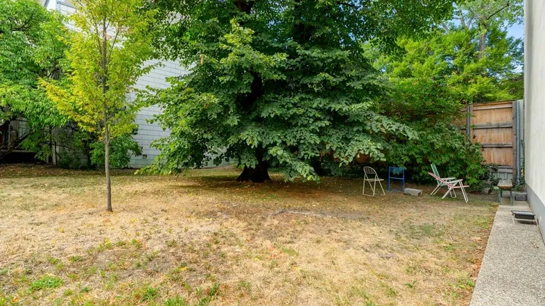 Großer Gartenbereich mit altem Baumbestand, Rasenfläche und einfacher Sitzgelegenheit im Freien.