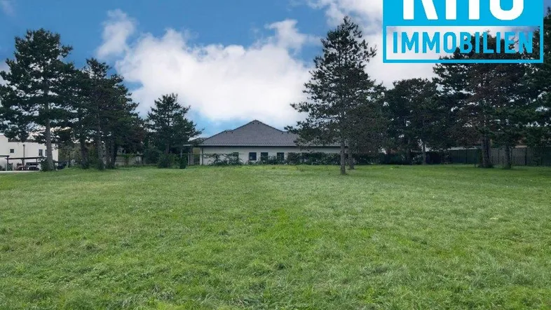 Grüne Wiese mit Bäumen und einem Gebäude im Hintergrund unter blauem Himmel.