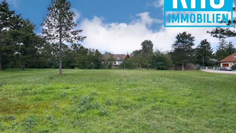 Weitläufige grüne Wiese mit Bäumen und Häusern im Hintergrund unter blauem Himmel.