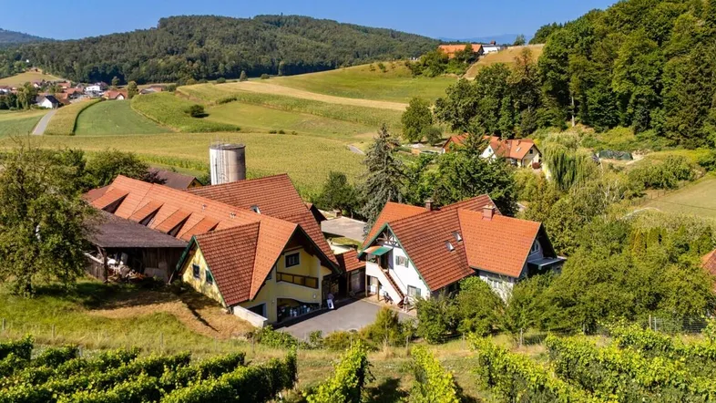 Luftaufnahme eines Anwesens mit mehreren Gebäuden, umgeben von Weinbergen und grünen Hügeln.
