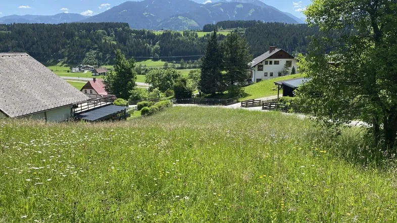 Weitläufiges Wiesengrundstück mit Bergblick und umliegenden Häusern unter blauem Himmel.