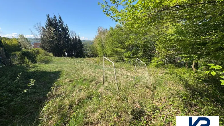 Großer grüner Gartenbereich mit einem Fußballtor, umgeben von Bäumen und Natur.