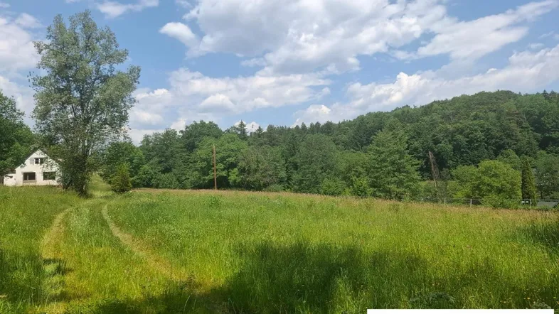 Weitläufige grüne Wiese mit einem Pfad, umgeben von dichtem Wald und einem Haus in der Ferne.