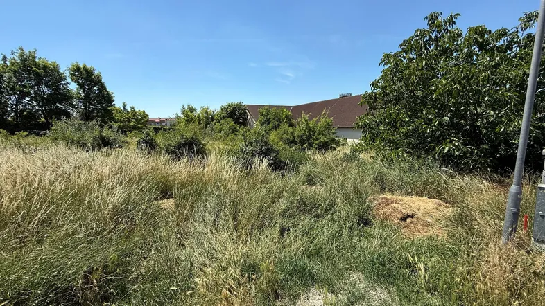 Unbebautes Grundstück mit hohem Gras und Bäumen unter blauem Himmel, ideal für zukünftige Bebauung.