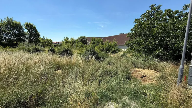 Weitläufiges Grundstück mit hohem Gras und Bäumen unter blauem Himmel, ideal für Neubau.