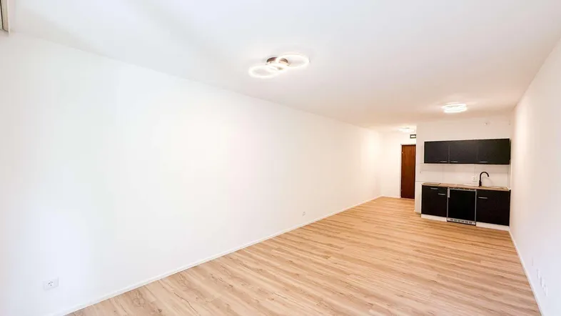 Heller Wohnraum mit modernem Laminatboden und integrierter Küchenzeile in minimalistischem Design.
