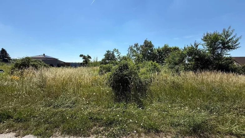 Weitläufiges, unbebautes Grundstück mit hohem Gras und Bäumen im Hintergrund unter blauem Himmel.