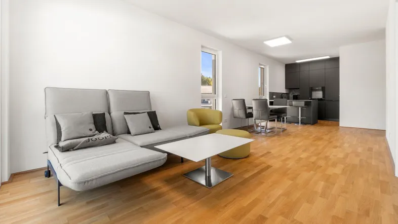Heller offener Wohnbereich mit modernem Sofa, Holzboden und integrierter dunkler Küche.