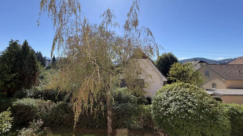 Sonnige Aussicht auf grüne Bäume, umliegende Häuser und ferne Berge unter blauem Himmel.