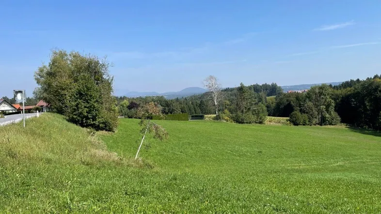 Weitläufige grüne Wiesenlandschaft mit Bäumen und Fernblick auf die umliegende Natur.