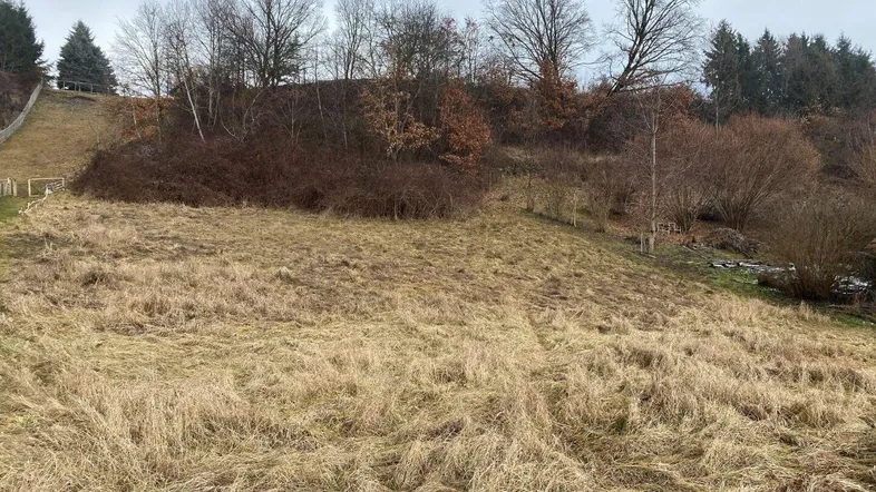 Weitläufiges Grundstück mit natürlicher Vegetation und Bäumen an einem Hang unter bewölktem Himmel.