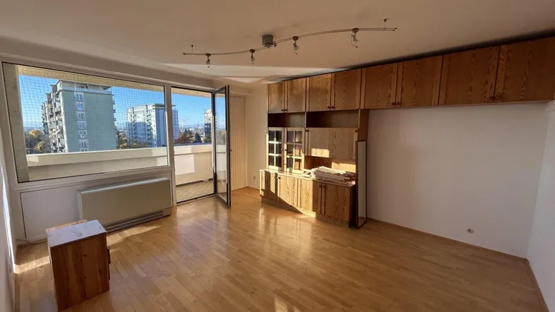 Helles Wohnzimmer mit Parkettboden, Holzeinbauten und Zugang zum Balkon.