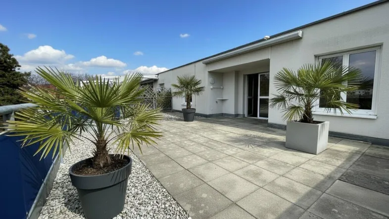 Große Dachterrasse mit Fliesenboden und Palmen in Töpfen, ideal für Entspannung im Freien.