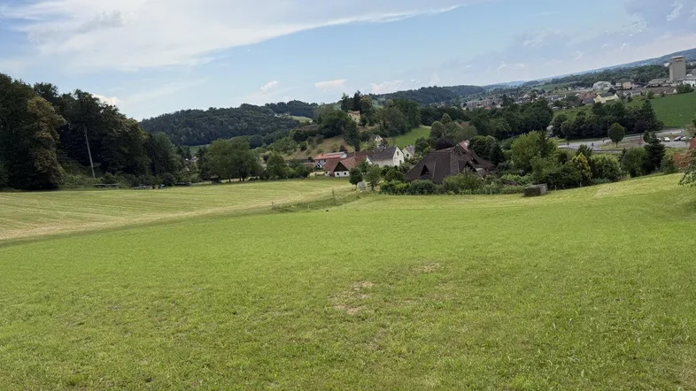 Weitläufige grüne Felder mit Blick auf eine ländliche Siedlung und bewaldete Hügel unter bewölktem Himmel.