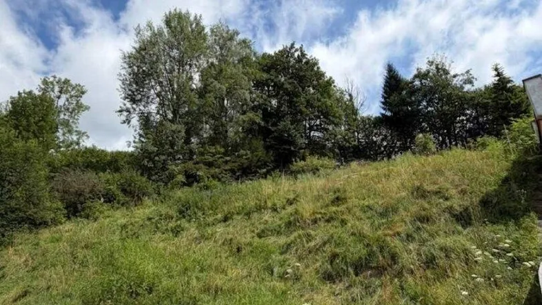 Grüne Wiese mit Bäumen unter blauem Himmel, ideal für ein Bauvorhaben.