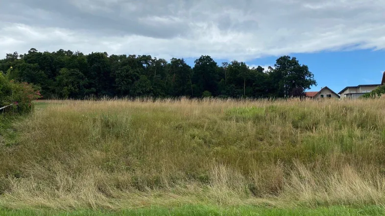 Weitläufiges Grundstück mit hohem Gras und Baumbestand unter bewölktem Himmel.