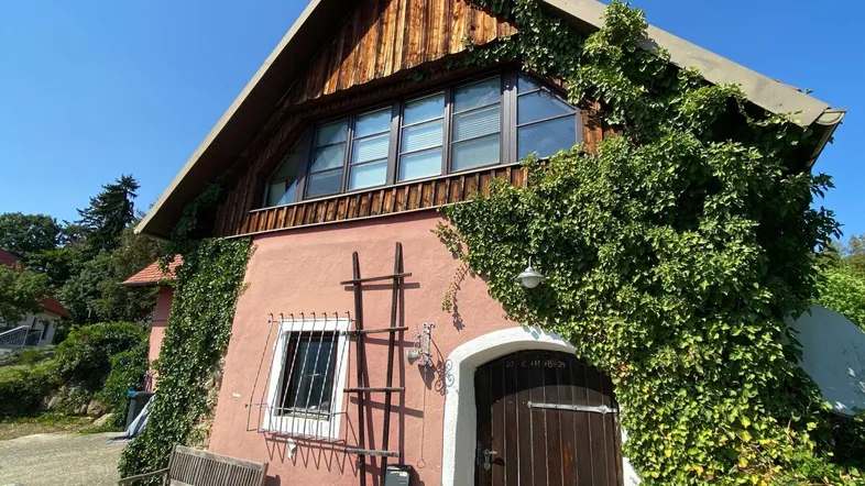 Rustikales Haus mit roter Fassade und üppigem Efeu bewachsen, unter blauem Himmel.
