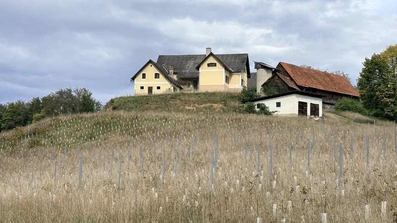Ländliches Anwesen mit Wohnhaus und Scheune auf einem Hügel, umgeben von einem Weinberg.