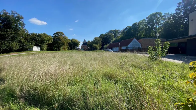 Weitläufige Grünfläche mit hohem Gras und Baumbestand im Hintergrund, ideal für Neubauprojekte.
