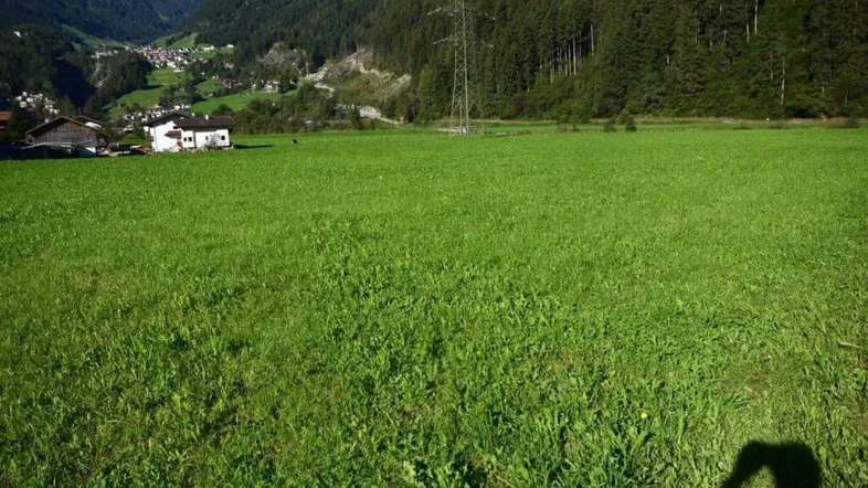 Weitläufige grüne Wiese mit beeindruckendem Bergblick und Häusern im Hintergrund.