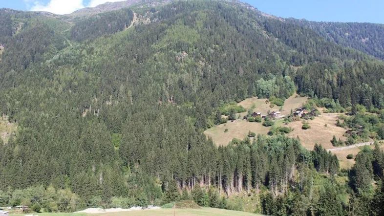 Panoramablick auf bewaldete Berge mit vereinzelten Häusern in der Ferne unter blauem Himmel.