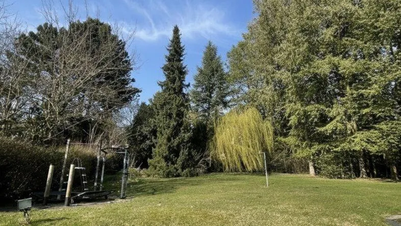 Großer Gartenbereich mit Rasenfläche, hohen Bäumen und Spielgeräten unter blauem Himmel.