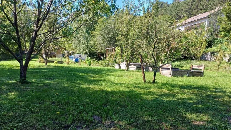 Großer Gartenbereich mit Rasenflächen, Obstbäumen und Hochbeeten, im Hintergrund ein Haus.