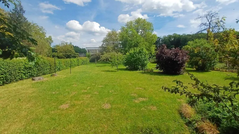 Großer, gepflegter Garten mit Rasenfläche, Bäumen und Hecken unter blauem Himmel.