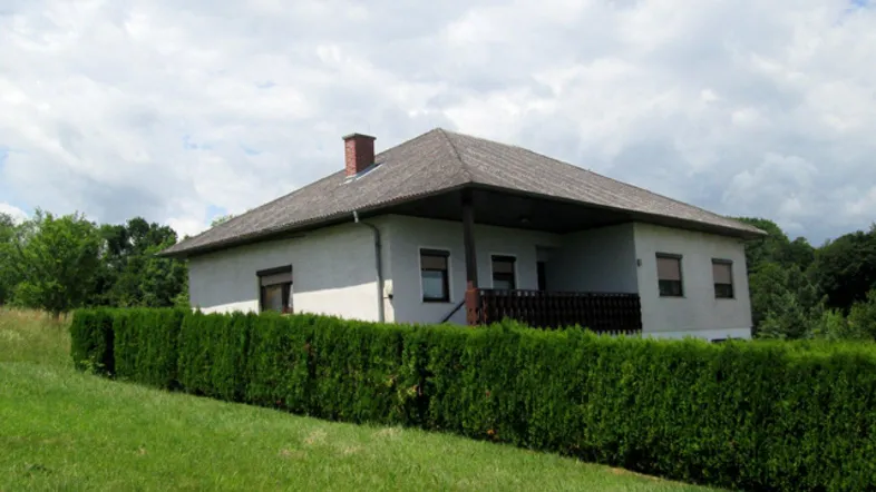 Einfamilienhaus mit gepflegter Hecke und Satteldach in ländlicher Umgebung unter bewölktem Himmel.