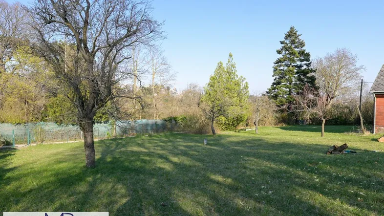 Großer Gartenbereich mit Rasenfläche und verschiedenen Bäumen unter klarem Himmel.