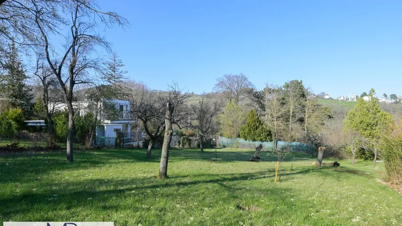 Weitläufiger Gartenbereich mit Rasenfläche, Bäumen und Blick auf ein entferntes Gebäude unter blauem Himmel.