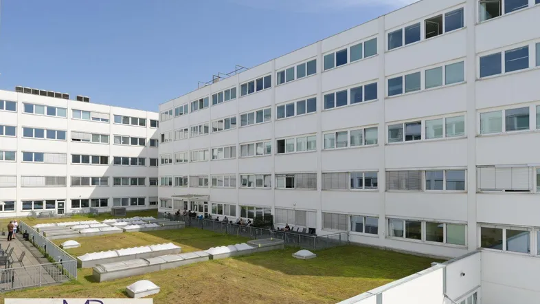 Innenhof eines modernen Bürogebäudes mit begrünten Flächen und vielen Fenstern.
