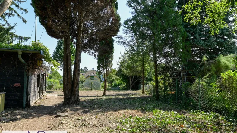 Großer Gartenbereich mit Bäumen und viel Potenzial für Gestaltung unter blauem Himmel.