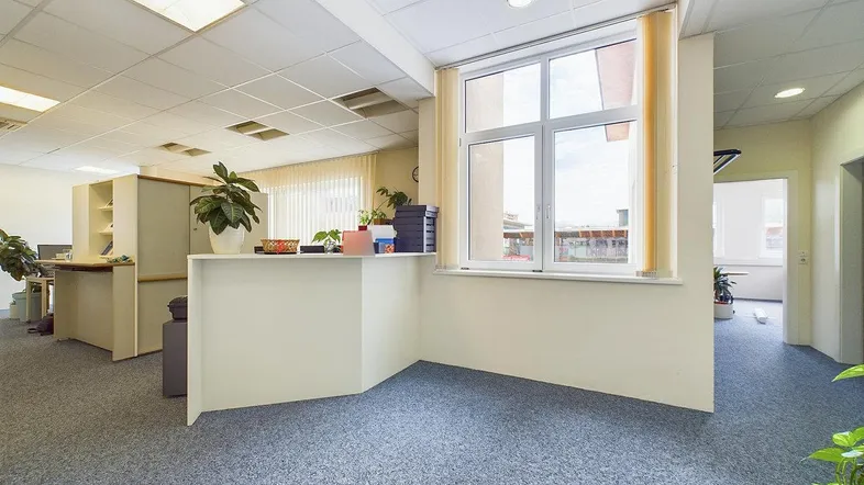 Heller Empfangsbereich in einem Bürogebäude mit blauem Teppichboden und Blick nach draußen.