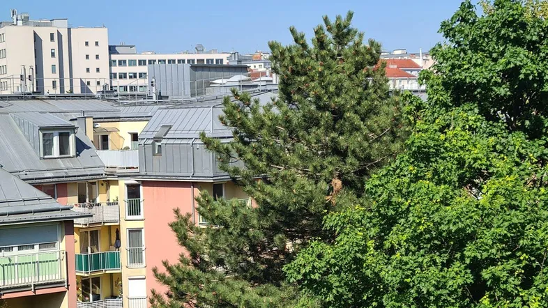 Blick über Dächer und Bäume auf die umliegende Stadtlandschaft an einem sonnigen Tag.