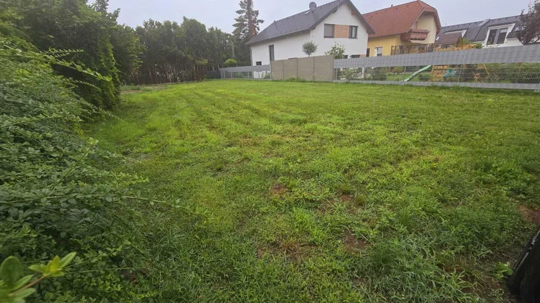 Großes, grünes Grundstück mit Rasenfläche und angrenzenden Häusern unter bewölktem Himmel.