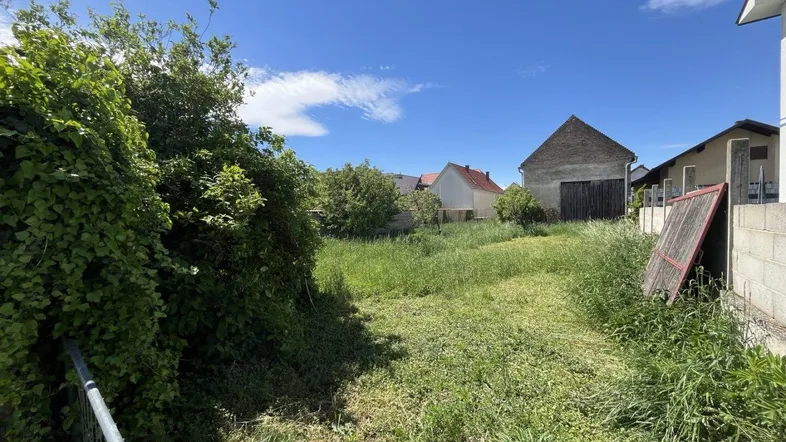 Überwachsenes Grundstück mit Blick auf umliegende Häuser und einen alten Schuppen unter blauem Himmel.